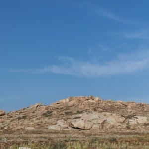 Aether 2023 Delos 027 3077